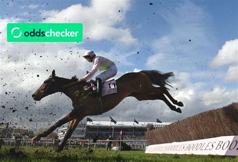 grand national odds checker|Grand National 2025 .